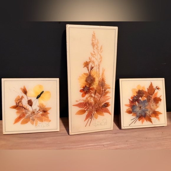 Other - Set of 3 Vintage Framed Botanical Wall Plaque - Cream